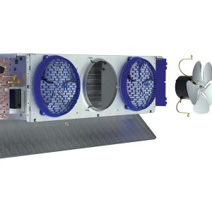 Imagen de WhatsApp 2025-05-26 a las 10.35.11_88be4881